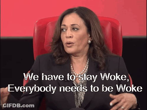Woman In Red Chair Saying We Have To Stay Woke GIF
