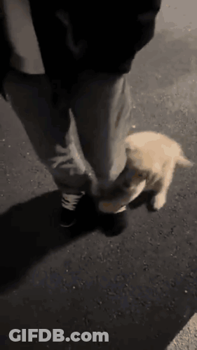 Woman In Red Coat And Man In Black Suit GIF