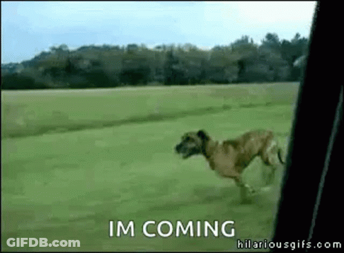 Woman In Red Dress Dancing On Roadside GIF