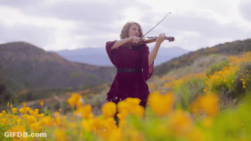 Woman In Red Dress Playing Violin In Yellow Flowers GIF