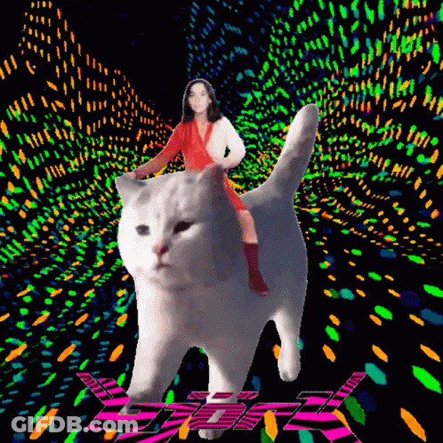 Woman In Red Dress Riding White Cat GIF