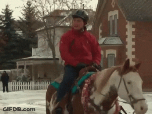 Woman In Red Jacket Riding Horse GIF