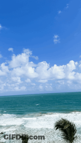 Woman In Red Jacket Standing Before Ireland Map GIF