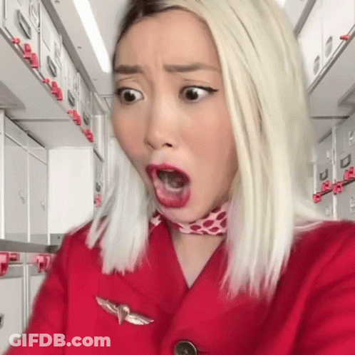 Woman In Red Jacket With Bird Badge GIF