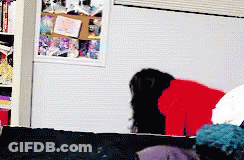Woman In Red Shirt Standing By Bookshelf GIF