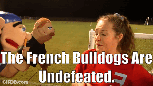 Woman In Red Shirt Talking To Two Puppets French Bulldogs Are Underestimated GIF