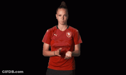 Woman In Red Shirt With Shield GIF