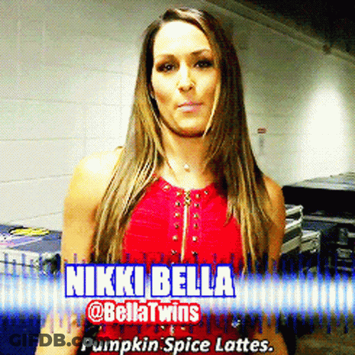 Woman In Red Top With Nikki Bella GIF