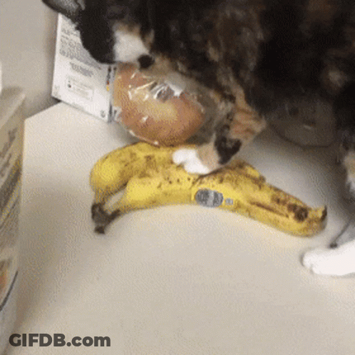 Woman In Robe Holding Pizza Bagels GIF