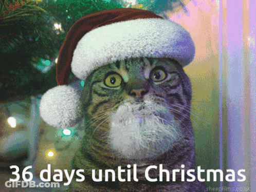 Woman In Santa Costume Dancing Holiday Spirit Activate 2 Months Til Christmas GIF