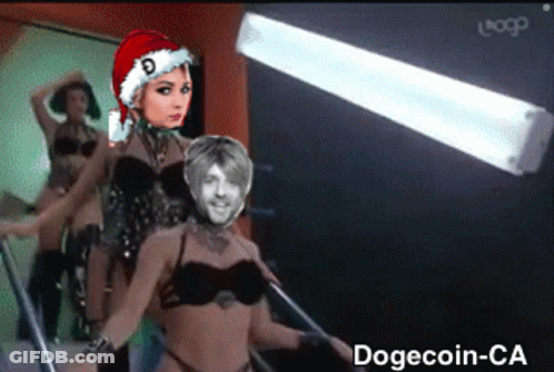 Woman In Santa Hat Next To Man In Bikini GIF