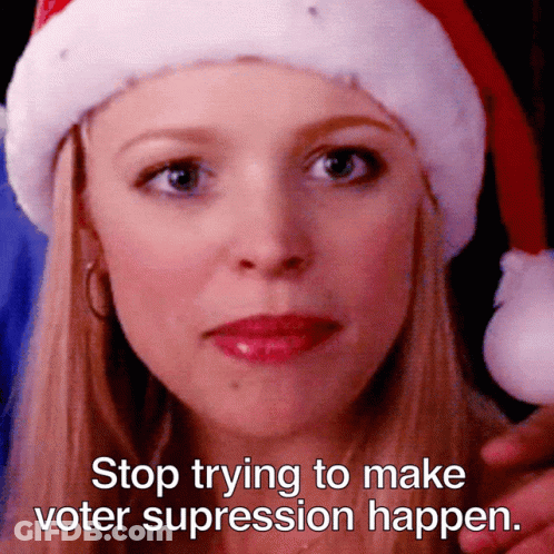 Woman In Santa Hat Stop Trying To Make Voter Suppression Happen GIF