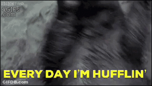 Woman In Santa Suit Dancing In Kitchen Holiday Spirit Activate Merry Christmas GIF