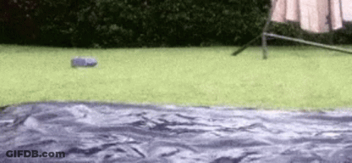 Woman In Short Dress On Pink Stairs GIF