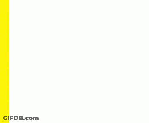 Woman In Shorts And Leopard Print Shirt With Beeeeeth Above GIF