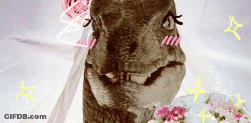 Woman In Silver Dress Taking Picture By N Sign GIF