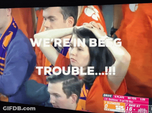 Woman In Stadium We're In Beeg Trouble GIF
