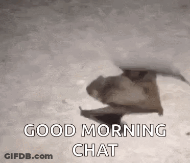 Woman In Store With Sale Sign GIF