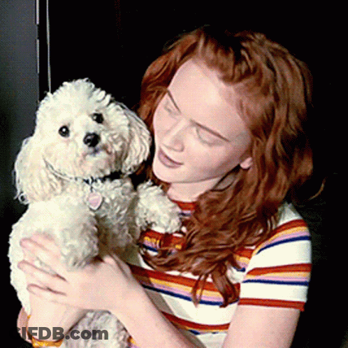 Woman In Striped Shirt Holding White Poodle GIF