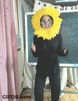 Woman In Sunflower Costume By Chinese Blackboard GIF