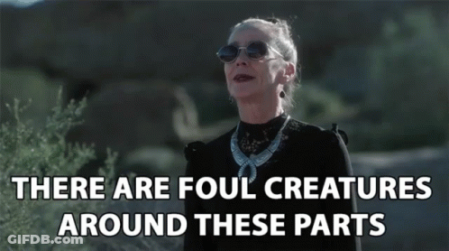 Woman In Sunglasses And Necklace Says There Are Fool Creatures Around These Parts GIF