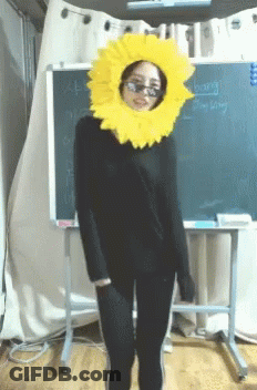 Woman In Sunglasses And Sunflower Hat With Hong Kong Blackboard GIF