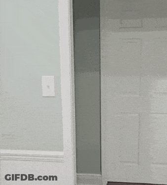 Woman In Sunglasses And White Shirt GIF
