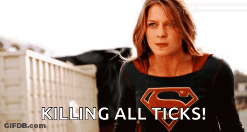 Woman In Superman Costume Killing All Ticks GIF