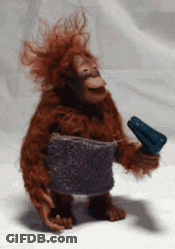 Woman In Syracuse Jersey Carrying Another Woman GIF