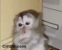 Woman In Tank Top Smiling Saying I Know GIF