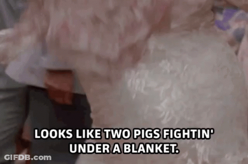 Woman In Wedding Dress Says Looks Like Two Pigs Fighting Under Blanket GIF