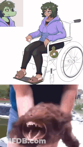 Woman In Wheelchair Next To Person Holding Dog GIF
