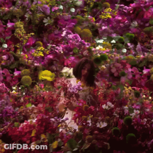 Woman In White Dress In Pink Flower Field GIF