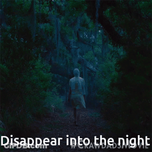 Woman In White Dress Walks Dark Forest Disappear Into The Night GIF