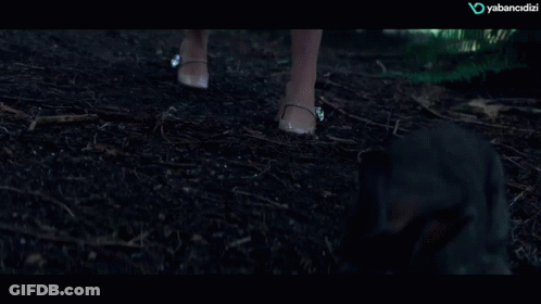 Woman In White Dress With Flower Wreath In Woods GIF