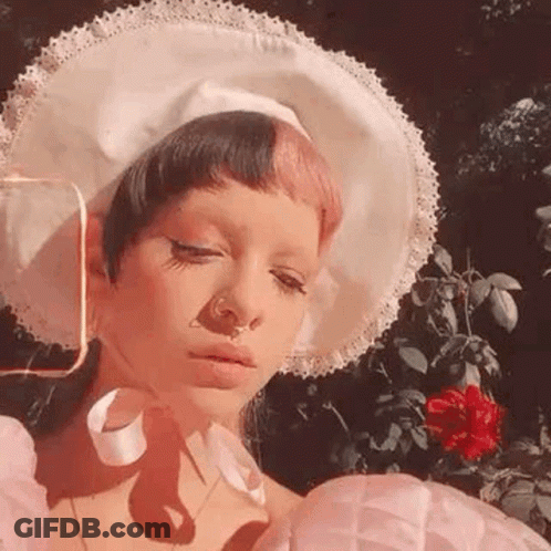 Woman In White Hat And Pink Dress With Red Rose GIF