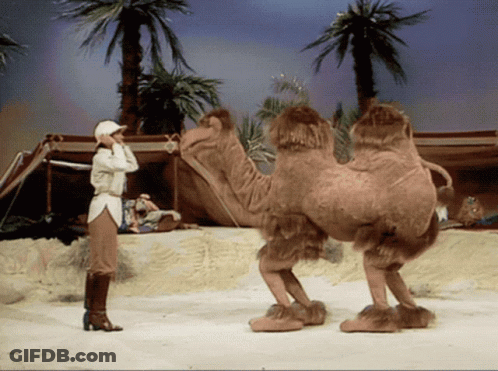 Woman In White Hat Next To Camel In Desert GIF