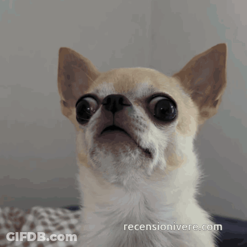 Woman In Wig Talking Into Microphone GIF