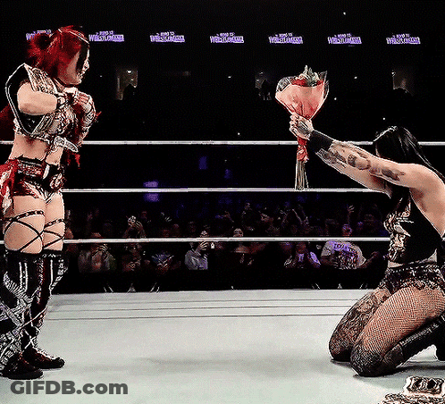 Woman In Wrestling Ring Holding Bouquet GIF