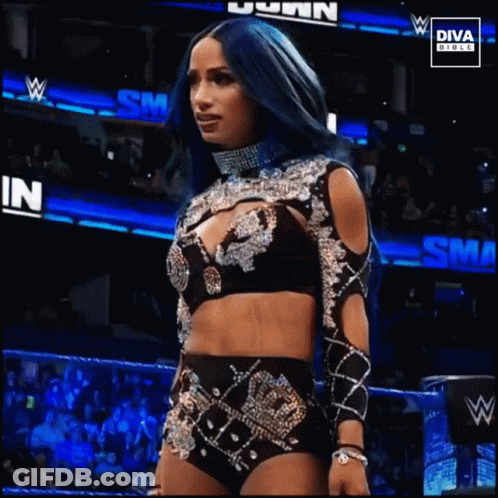Woman In Wrestling Ring With Diva Outfit GIF