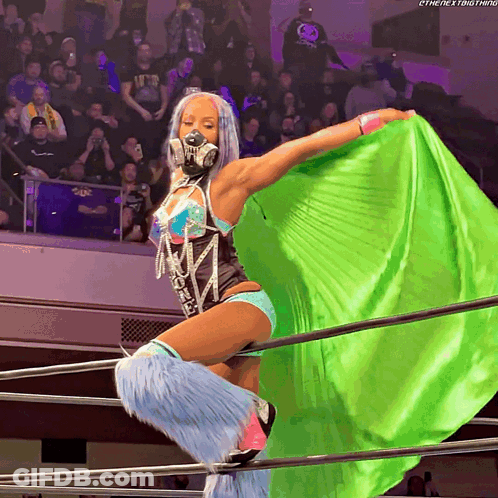 Woman In Wrestling Ring With Green Cape And Mask GIF