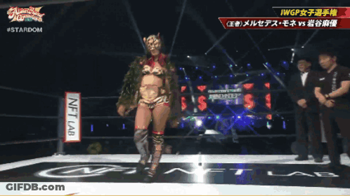Woman In Wrestling Ring With Net Lam Sign GIF