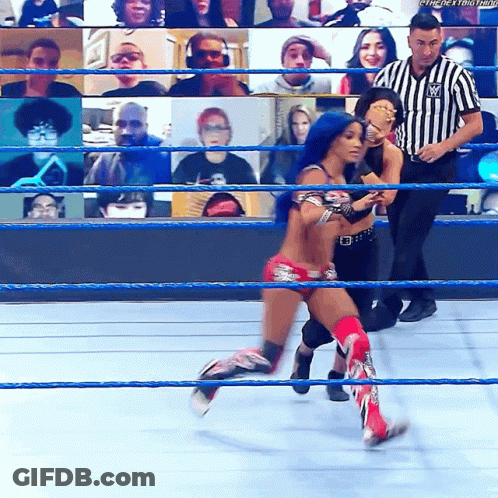 Woman In Wrestling Ring With Referee And Screen Saying The Next Time GIF