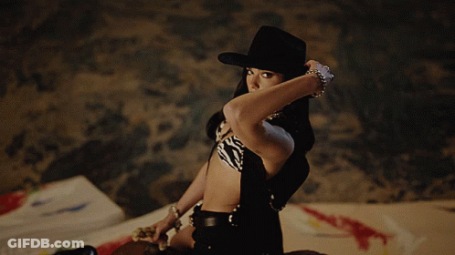 Woman In Zebra Print Top And Black Cowboy Hat GIF