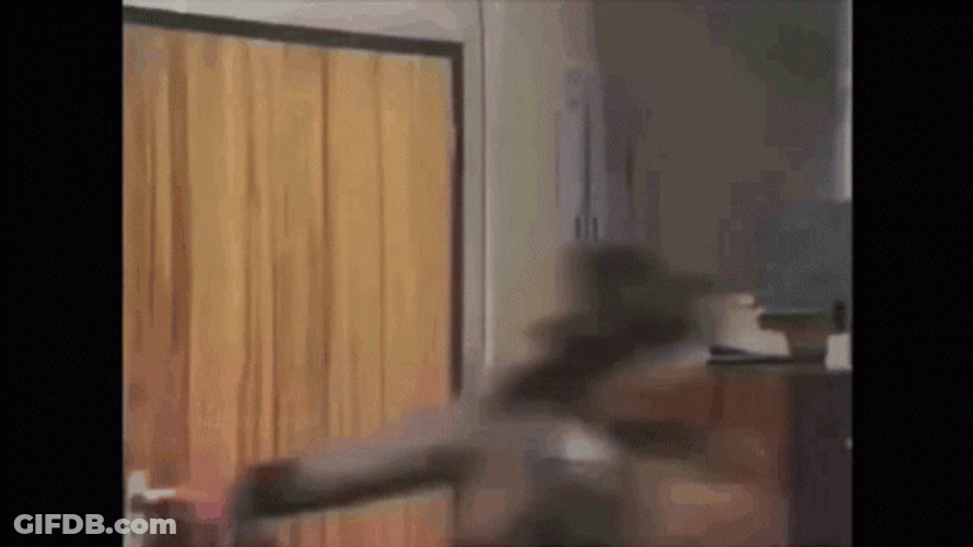 Woman Jump Out Window GIF