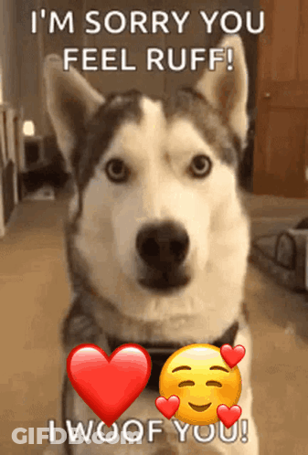 Woman Kissing Man With Todo S Imagination GIF