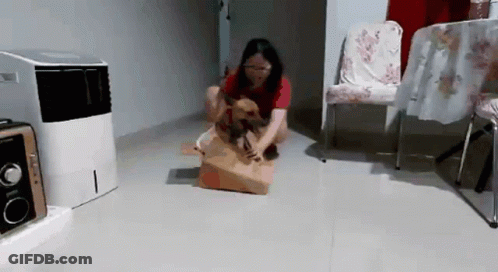 Woman Kneeling With Dog In Bag GIF