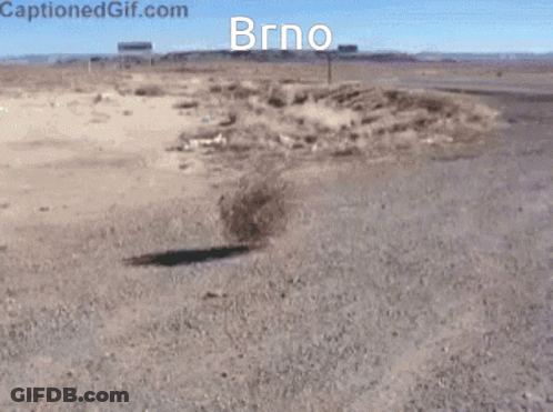 Woman Laughing Holding Paper By World Map GIF