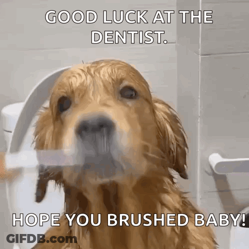 Woman Laughing I Laugh To Keep From Crying GIF