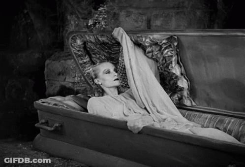 Woman Laying In Coffin Holding Blanket Over Head GIF